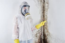 Mold Documentation for Insurance Claims in Warren, PA